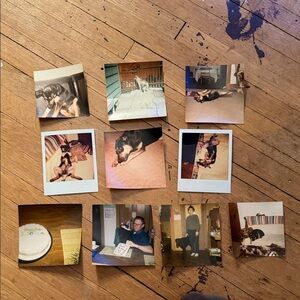 Vintage Dog Photo Collection